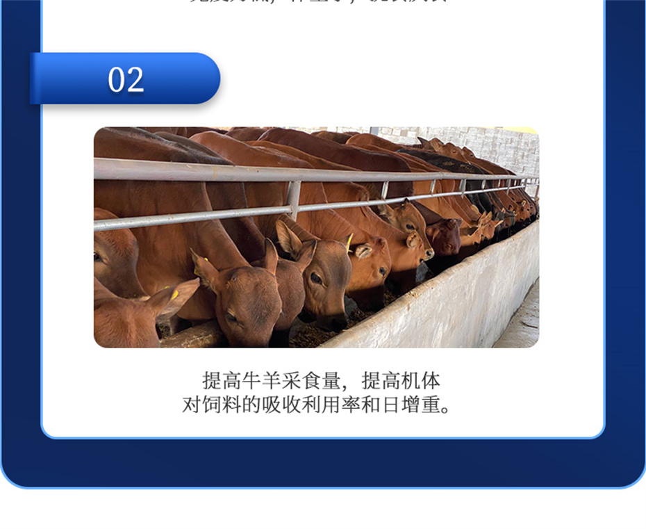 金沙集团动保牛羊饲料添加剂瘤胃宝产品介绍
