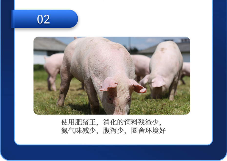 金沙集团动保猪饲料添加剂肥猪王产品介绍