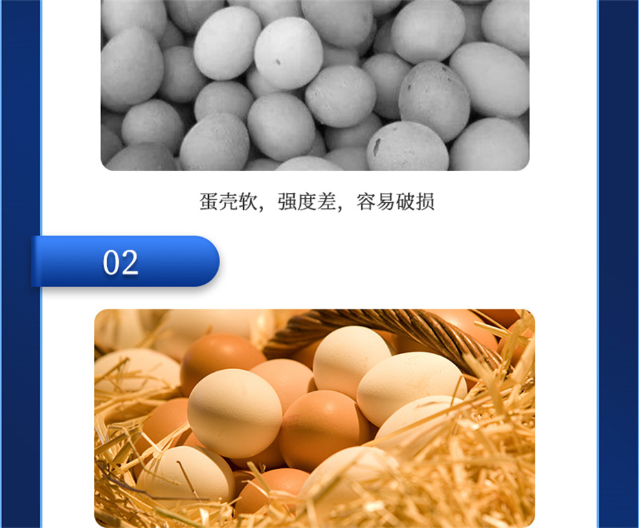 金沙集团动保禽饲料添加剂靓蛋宝产品介绍